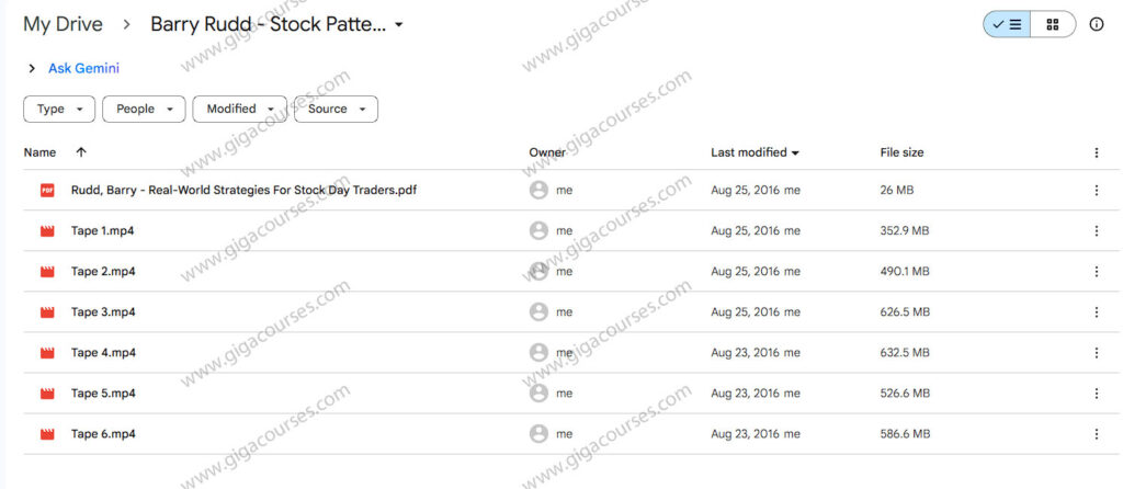 Barry Rudd - Stock Patterns for Day Trading