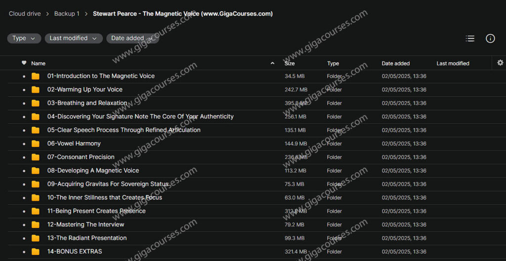 Stewart Pearce - The Magnetic Voice