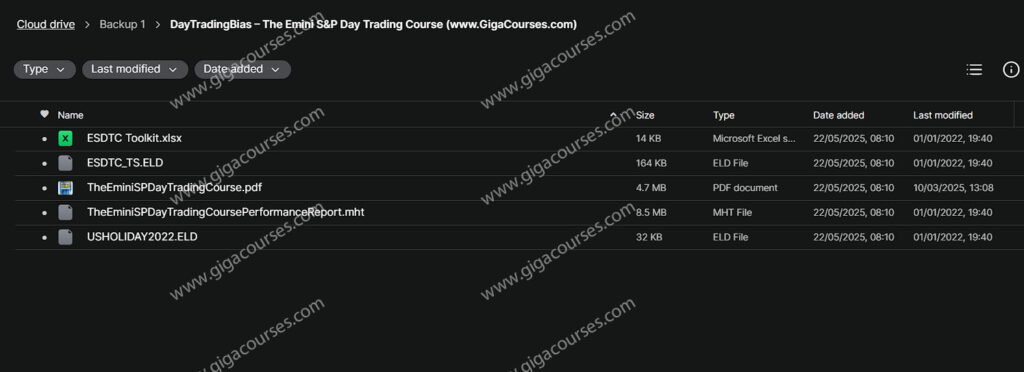 DayTradingBias – The Emini S&P Day Trading Course