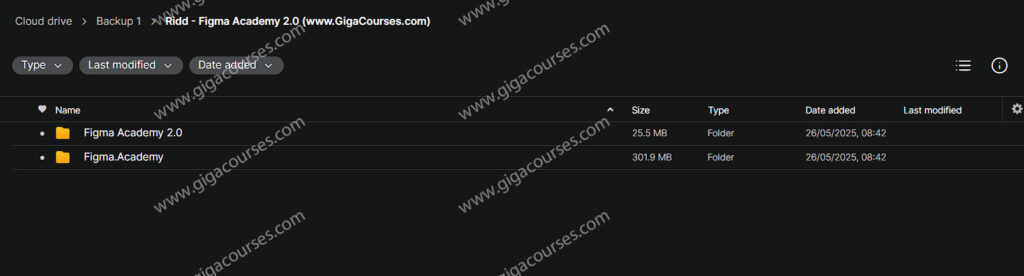 Ridd - Figma Academy 2.0