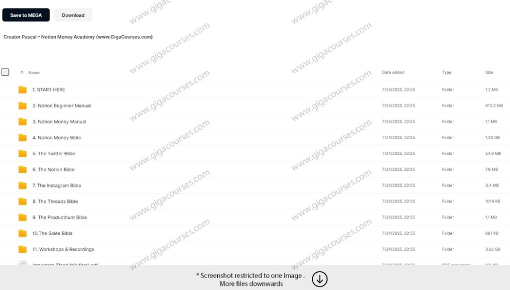 Creator Pascal – Notion Money Academy