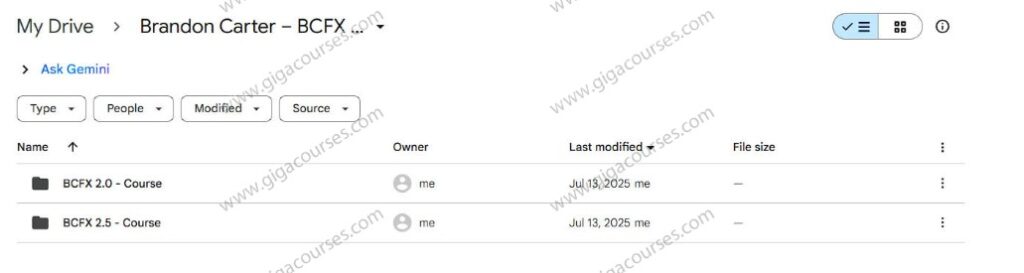 Brandon Carter – BCFX 2.0 & 2.5
