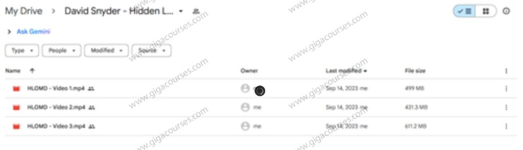 David Snyder - Hidden Laws Of Mental Dynamics