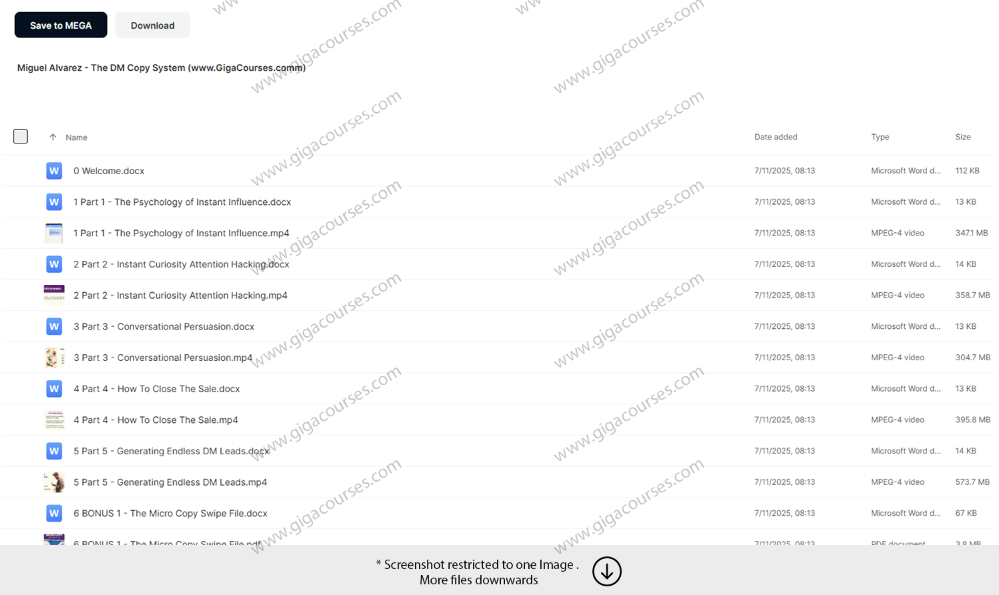 Miguel Alvarez – The DM Copy System