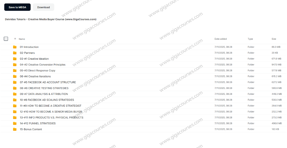 Deividas Tokaris – Creative Media Buyer