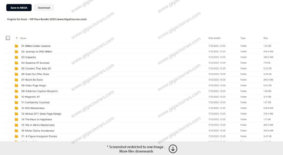 Virginia De Assis - VIP Pass Bundle 2025