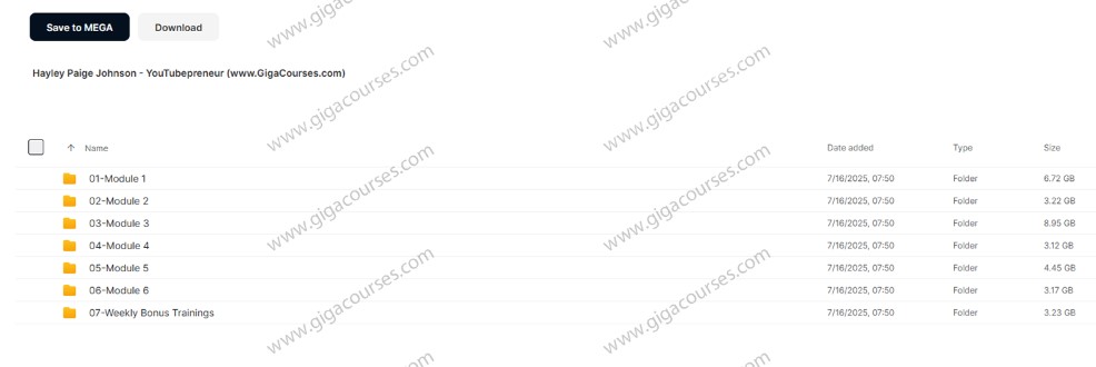 Hayley Paige Johnson - YouTubepreneur