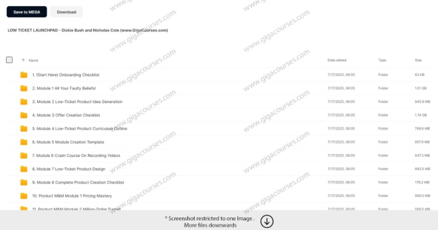 LOW TICKET LAUNCHPAD - Dickie Bush and Nicholas Cole