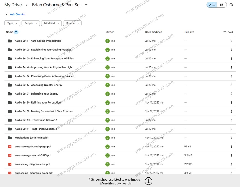 Brian Osborne & Paul Scheele - Aura Seeing Learning Strategies