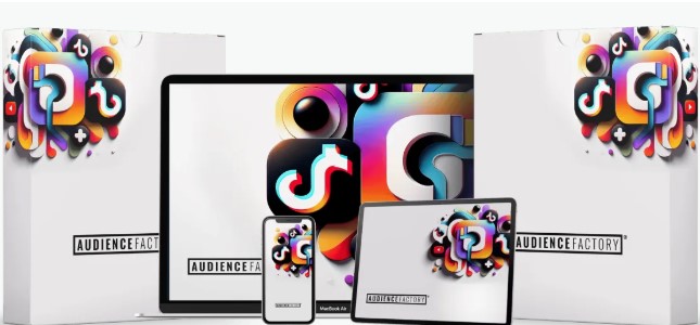 Mike Dillard - Audience Factory