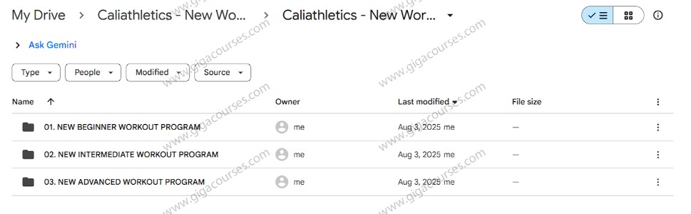 Caliathletics - New Workout Program