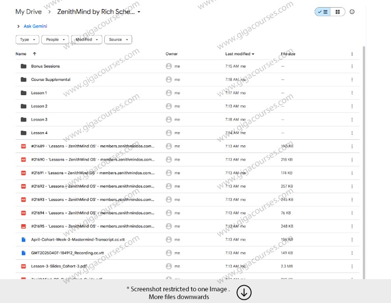 ZenithMind by Rich Schefren
