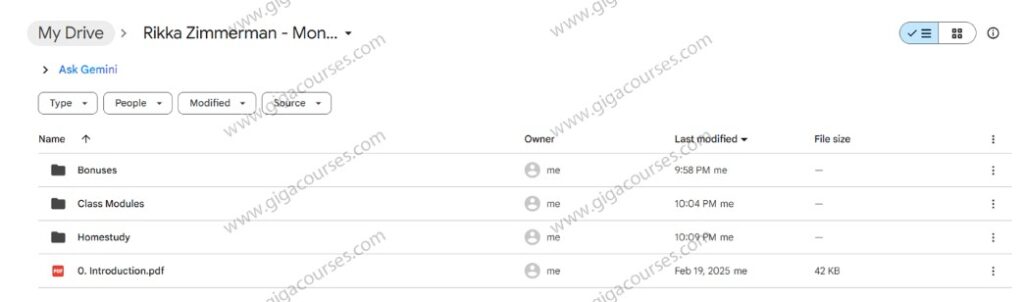 Rikka Zimmerman - Money Mastery Course