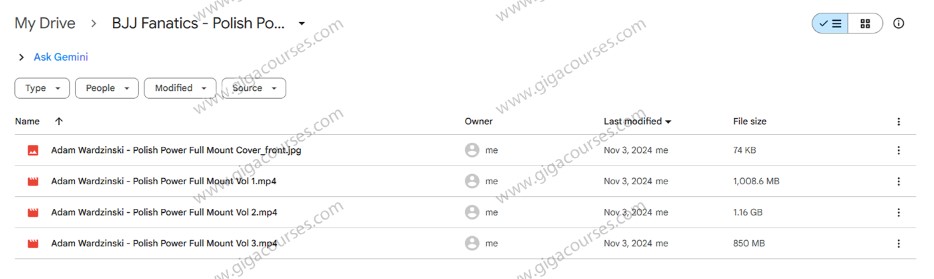 BJJ Fanatics – Polish Power Full Mount