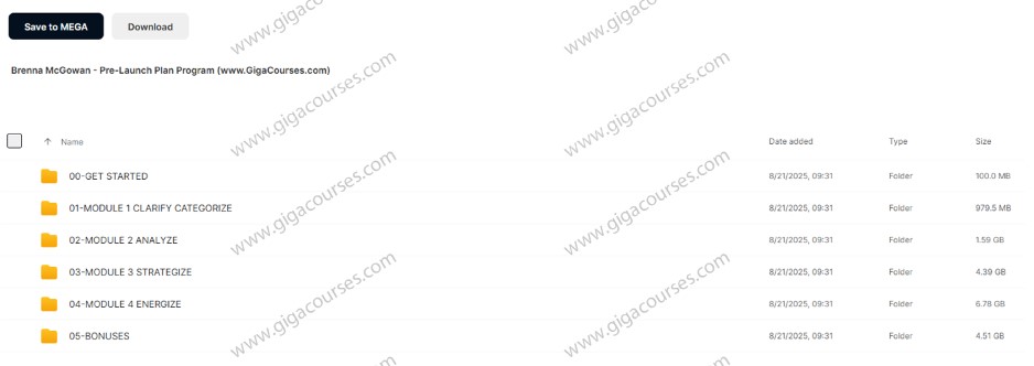 Brenna McGowan - Pre-Launch Plan Program