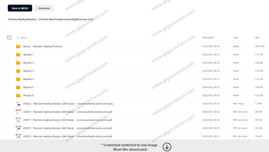 Remote Healing Mastery - Christof Melchizedek