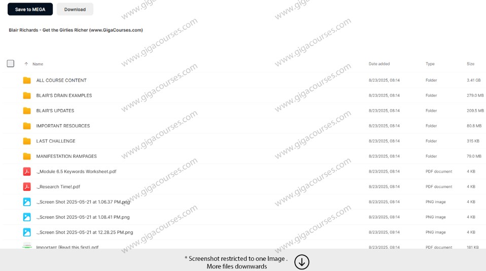 Blair Richards - Get the Girlies Richer