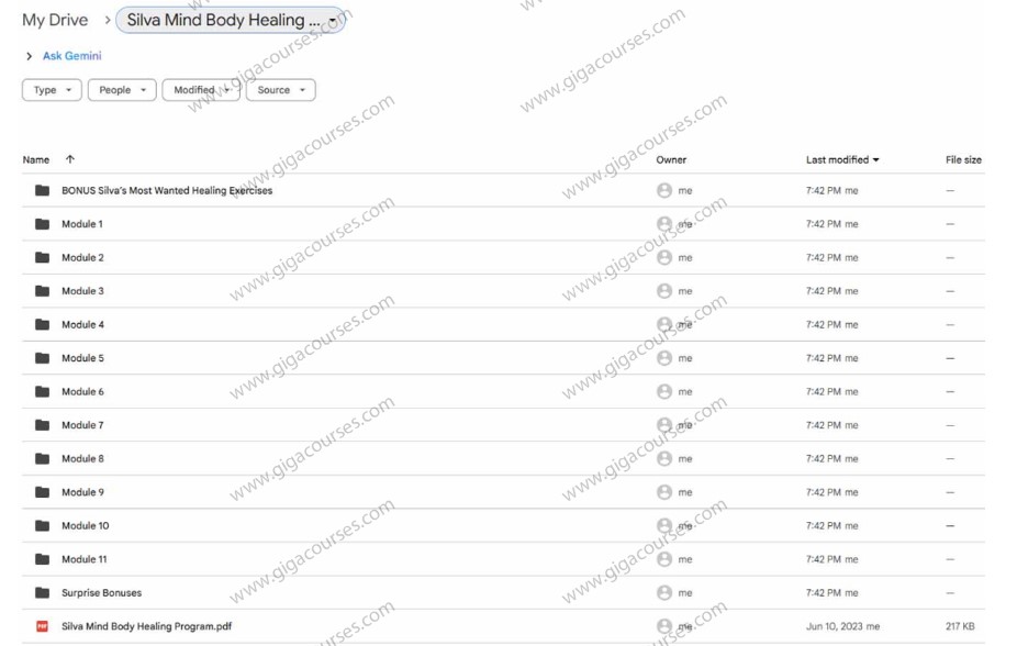 Silva Mind Body Healing Program