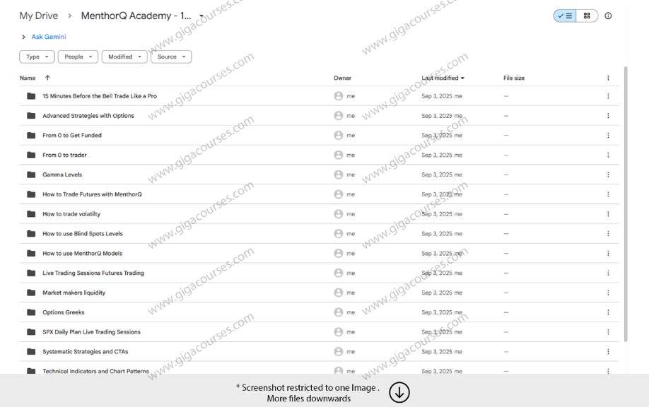 MenthorQ Academy - 18+ Course Mega Bundle
