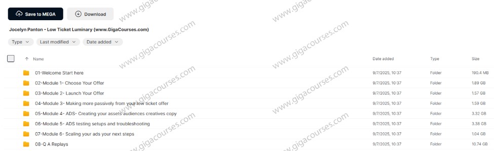 Jocelyn Panton – Low Ticket Luminary