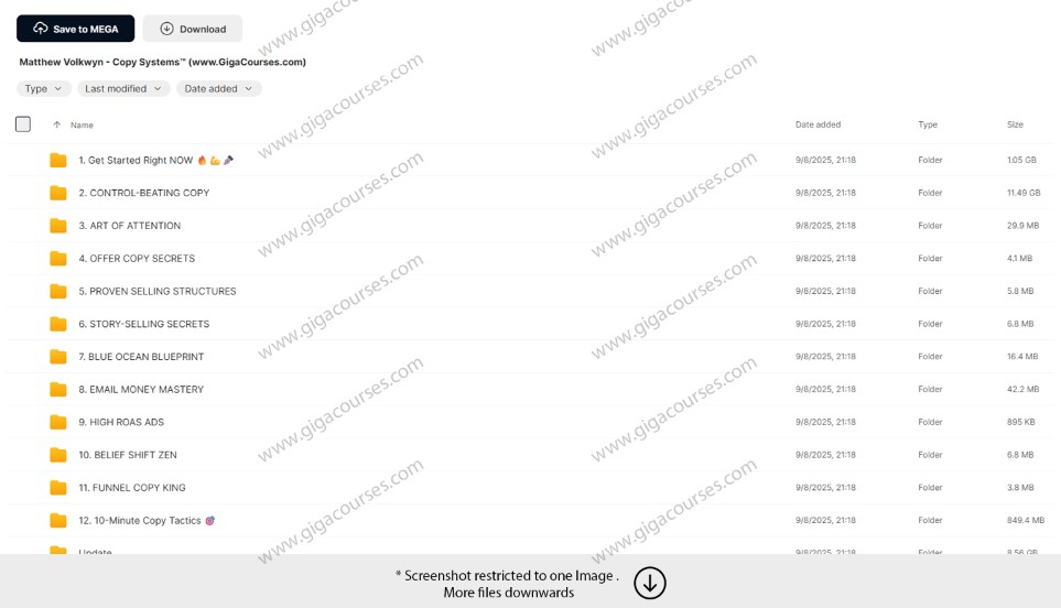 Matthew Volkwyn - Copy Systems™