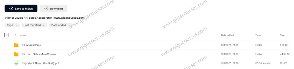 Higher Levels - AI Sales Accelerator