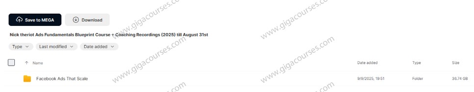 Nick theriot Ads Fundamentals Blueprint Course + Coaching Recordings (2025) till August 31st