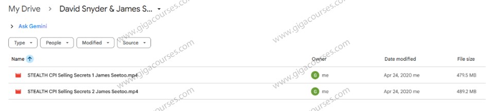 David Snyder & James Seetoo STEALTH Selling Secrets