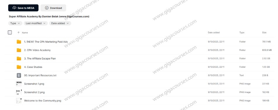 Super Affiliate Academy By Damien Belak