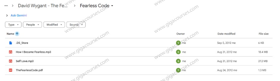 David Wygant - The Fearless Code