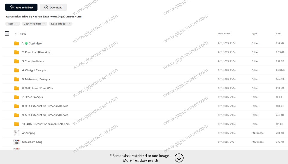 Automation Tribe By Razvan Sava