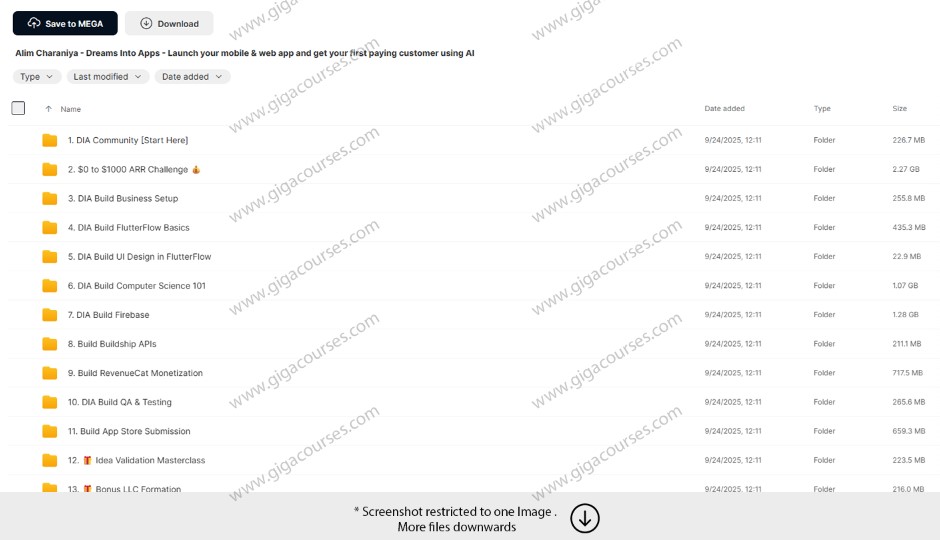 Alim Charaniya - Dreams Into Apps - Launch your mobile & web app and get your first paying customer using AI