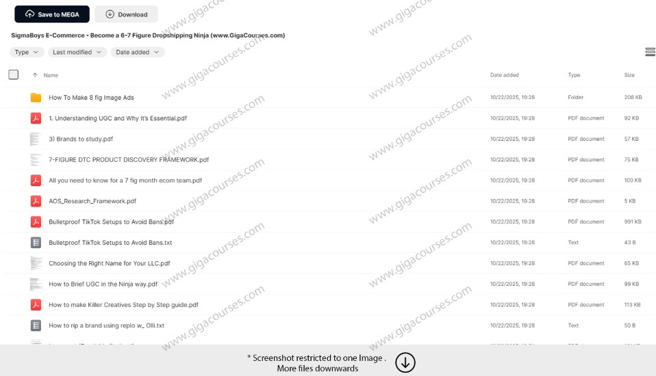 SigmaBoys E-Commerce - Become a 6-7 Figure Dropshipping Ninja